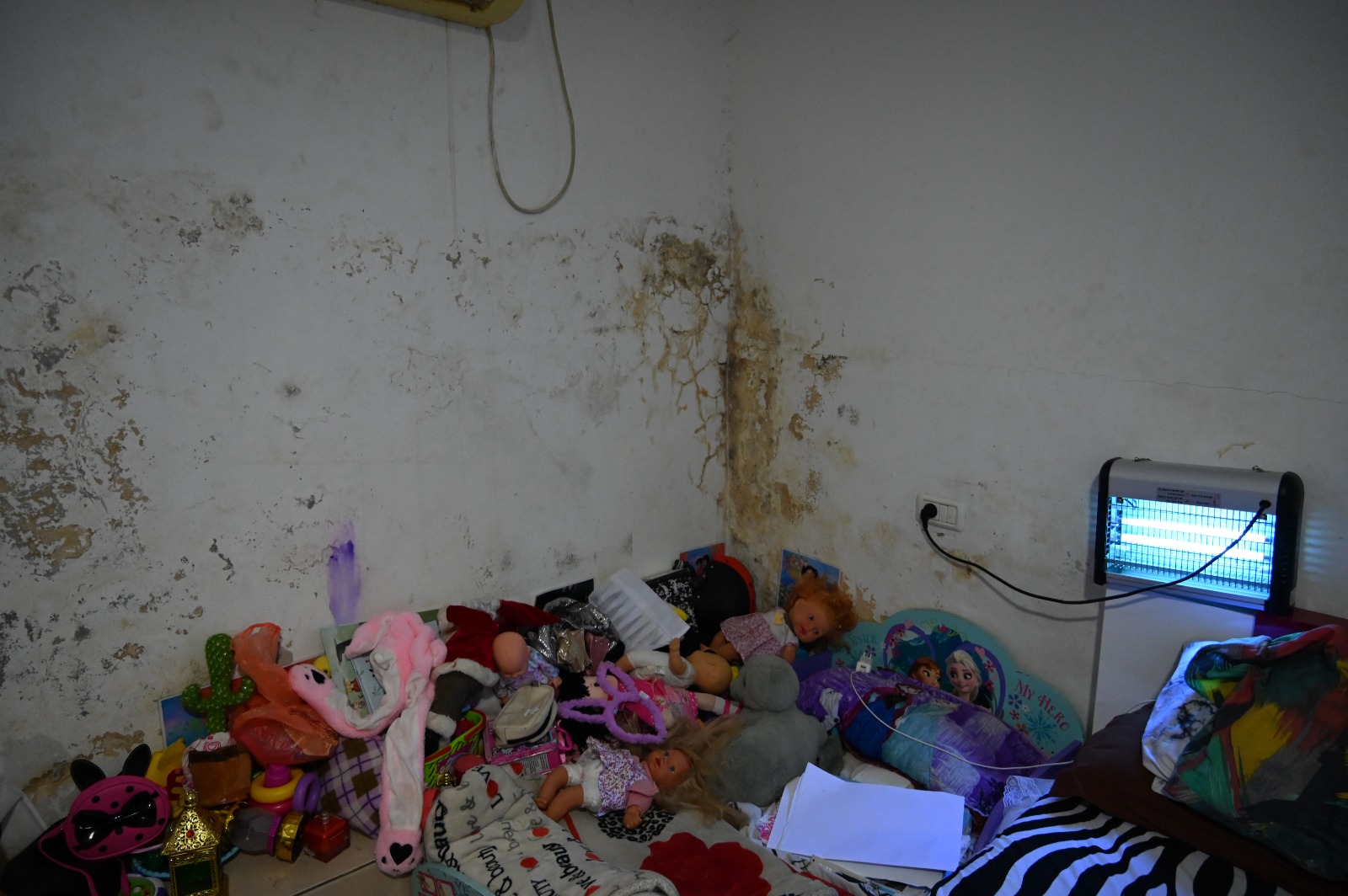 sanqwjhreqhr (9).jpeg